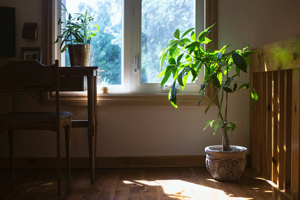 Household